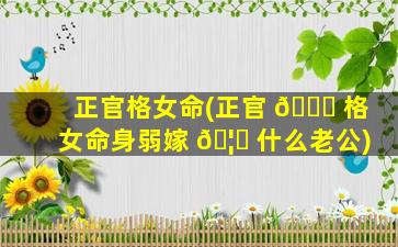 正官格女命(正官 🐋 格女命身弱嫁 🦋 什么老公)